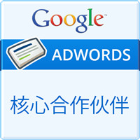 Google 核心合作伙伴